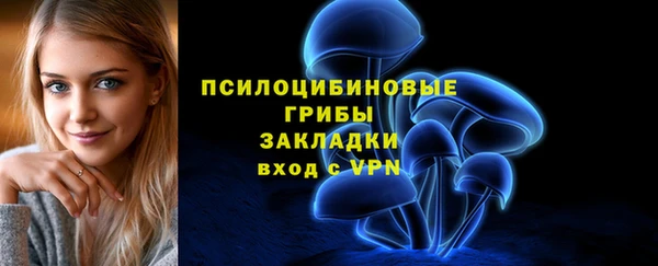 твердый Армянск