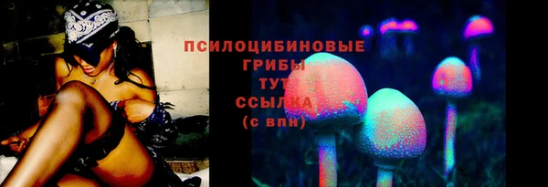 apvp Аркадак