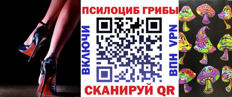 купить наркотик  Талица  Галлюциногенные грибы Cubensis 